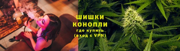 дживик Богородск