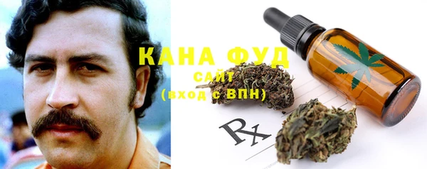 дживик Богородск