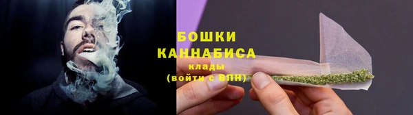 ECSTASY Богородицк
