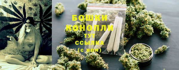 ECSTASY Богородицк