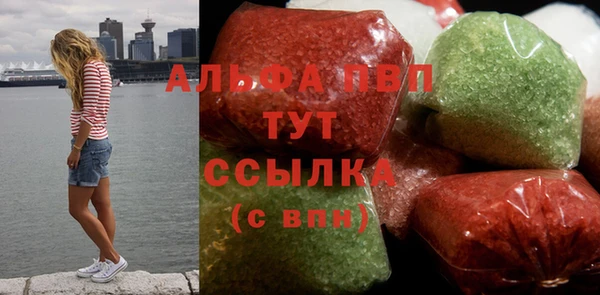 ECSTASY Богородицк
