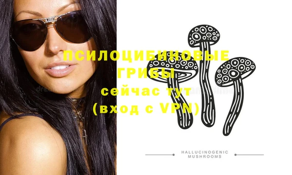 ECSTASY Богородицк