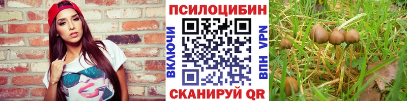 Псилоцибиновые грибы Cubensis  MEGA вход  Южа  магазин продажи наркотиков 